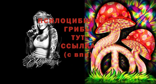 apvp Остров