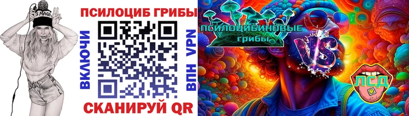 МЕГА как войти  Кремёнки  Галлюциногенные грибы Cubensis 
